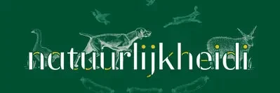 nh logo 400x190